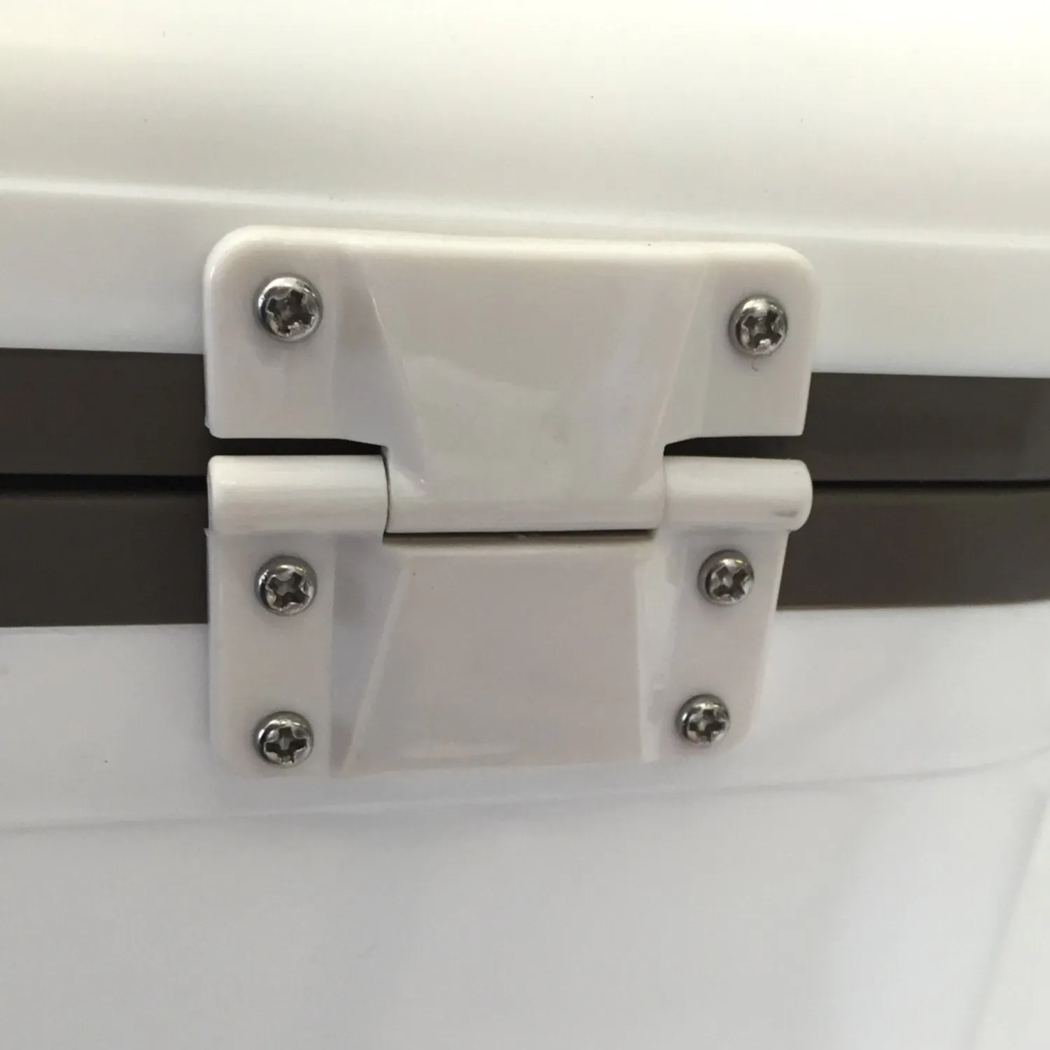 Plastic Drybox Hinge (Single Hinge)