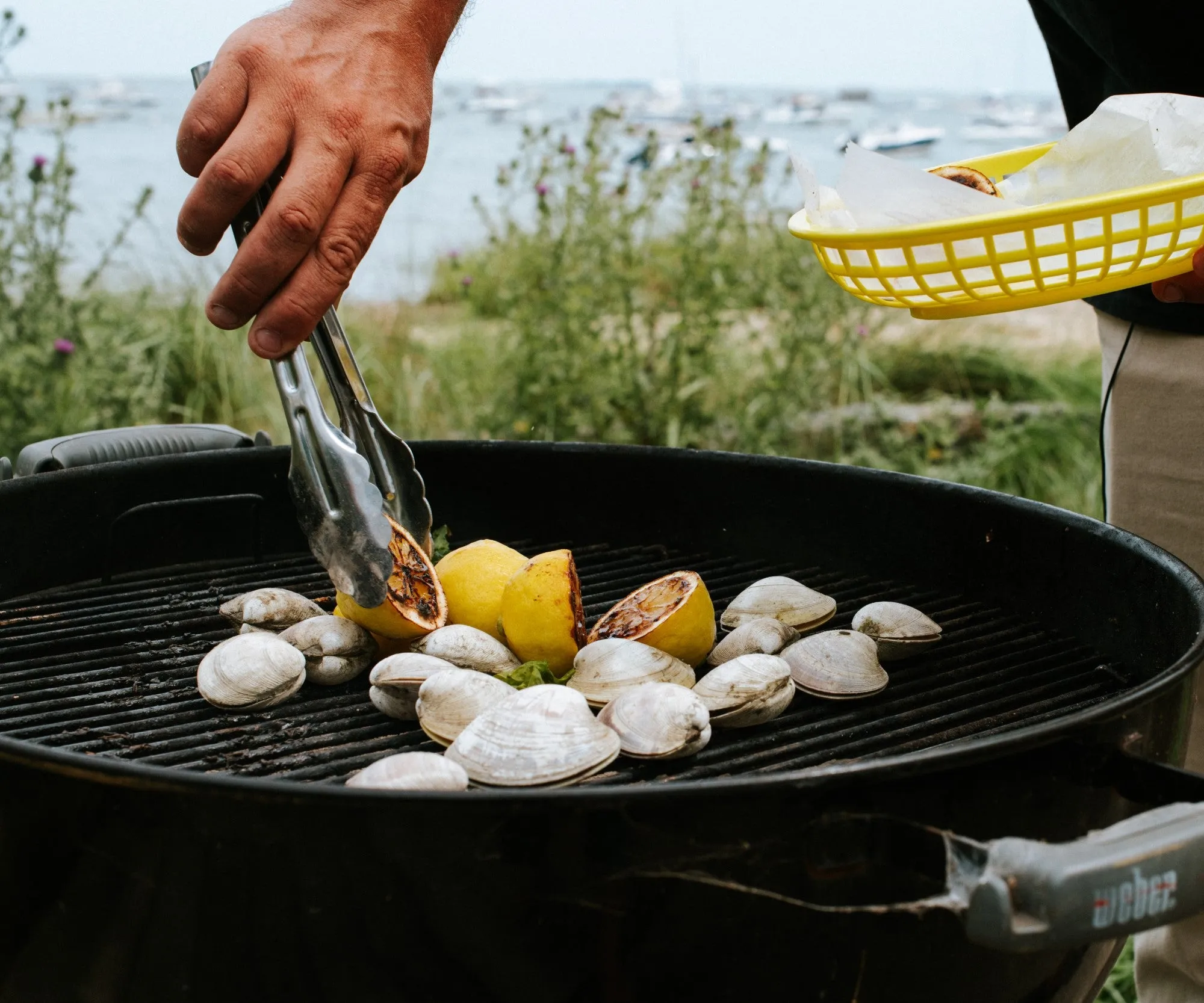 Skip's Littleneck Clams from Duxbury, MA